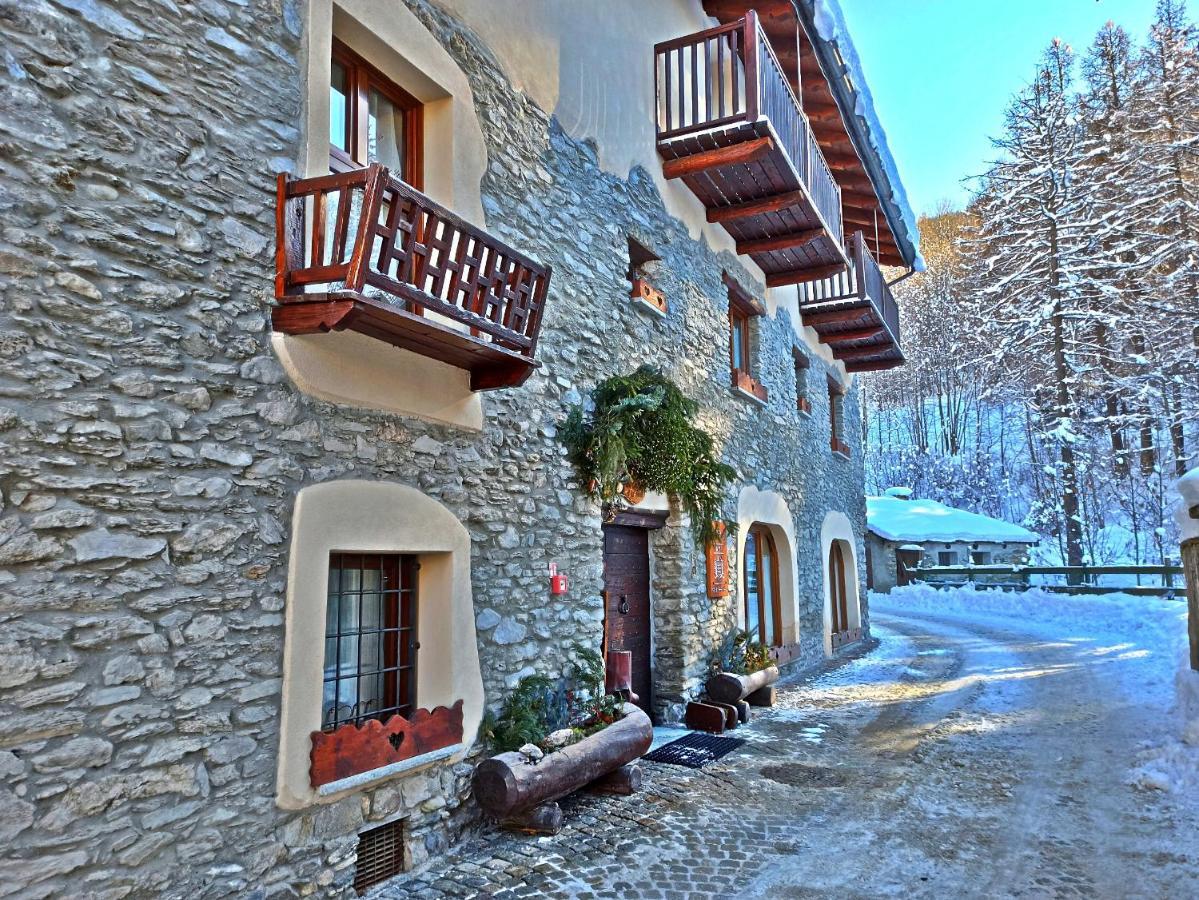 Etoile Des Neiges